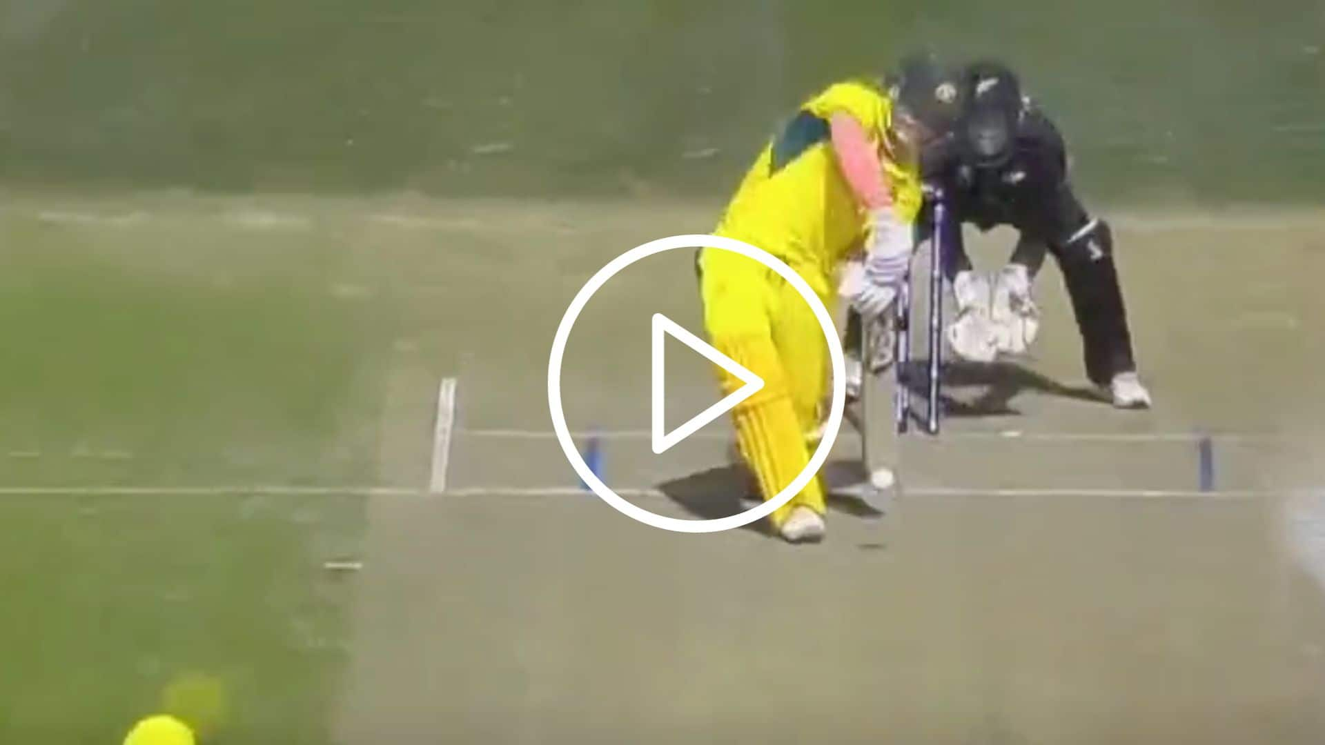 [Watch] David Warner Falls In Glenn Phillips Trap After Stunning 81 off 65 Balls